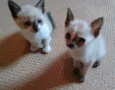 Lindos