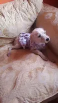 lalinha