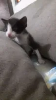Sem nomes ainda