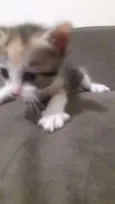 Sem nomes ainda