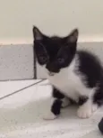 Mia