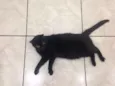 Lucky