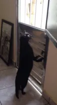 Lucky