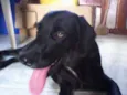 apollo, aika e aqui