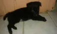amora e pandora