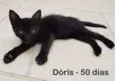 Dóris