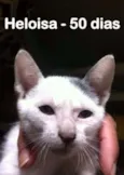 Heloisa