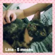 Léia