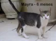 Mayra
