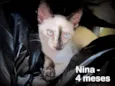 Nina