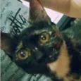 Léia