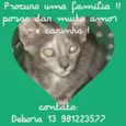 Cinzenta