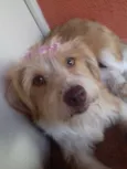 Mel