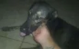 Billy