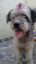 bella