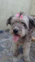 bella