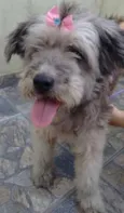 bella