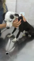 Escolha um nome par