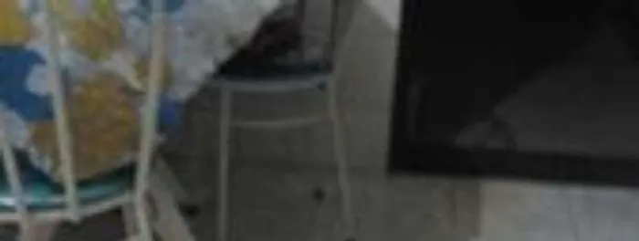 Cachorro ra a SRD idade 3 anos nome branca