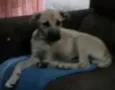 Tuti