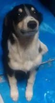 Pequena