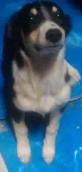 Pequena