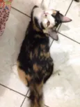 Lili