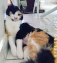Lili