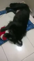 FEIJAO