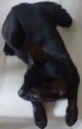Órion
