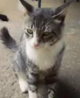 Fred