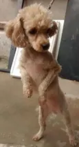 Meg