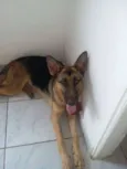 Julie