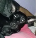 Nina
