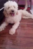 Jack