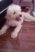 Jack