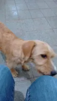 Mel
