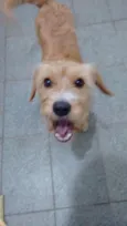 Mel