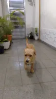 Mel