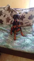Moska