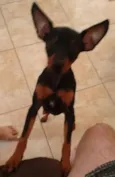 Moska