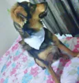 Jony 