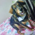 Jony 