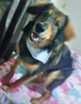 Jony 