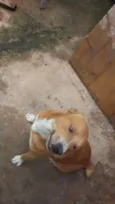 Jack