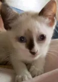 PRINCESA