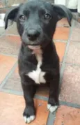 Julie