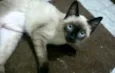 Nenem