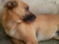 Ralf