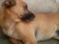 Ralf